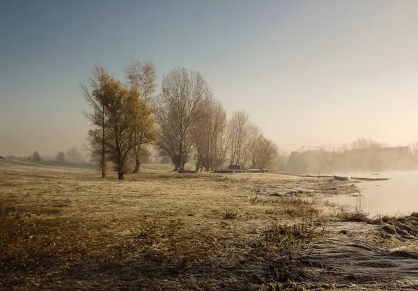 Novi Sad, Sırbistan - Aralık 04. 2013: Sırbistan 'ın Novi Sad kenti yakınlarındaki Tuna Nehri' nin kolları üzerinde gün batımı