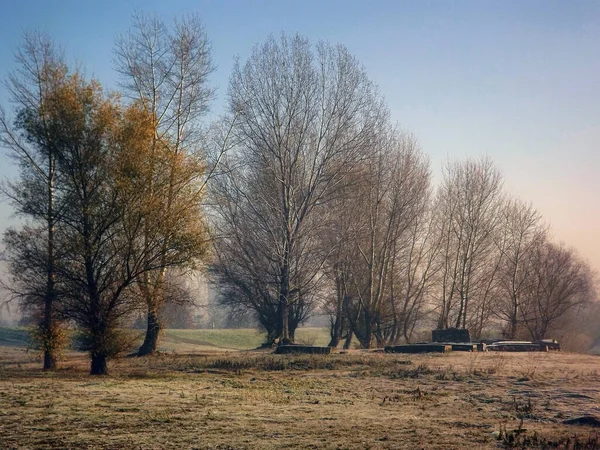 Novi Sad, Sırbistan - Aralık 04. 2013: Sırbistan 'ın Novi Sad kenti yakınlarındaki Tuna Nehri' nin kolları üzerinde gün batımı