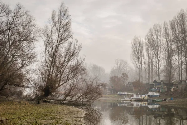 Bataklığın panoramik manzarası sonbahar sisi ile kaplıydı. Bataklık sisli manzarası.
