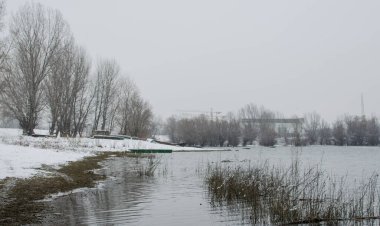 Danube river delta in winter. A panoramic view of the Danube river delta in winter, covered with snow and ice.