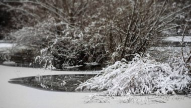 Danube river delta in winter. A panoramic view of the Danube river delta in winter, covered with snow and ice.