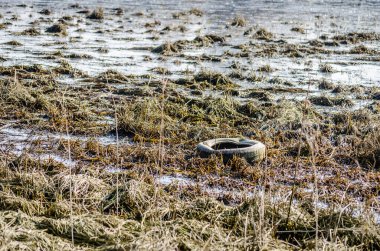 Discarded tires on the shore of the frozen lake. Discarded car tires on the shore of a frozen lake, in the afternoon.