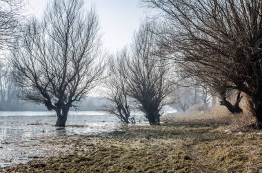 Panoramic view of the Danube river delta in winter.