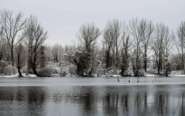 stock image Danube river delta in winter. A panoramic view of the Danube river delta in winter, covered with snow and ice.