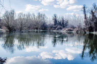 Bataklık sonbahar, güneşli manzara. Güneşli bir sonbahar döneminde bataklığın panoramik görüntüsü..