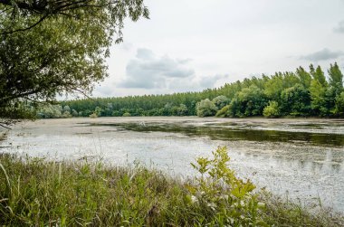 Yapay gölün panoramik görüntüsü. Yılın yaz döneminde inşa edilmiş yapay gölün panoramik görüntüsü..