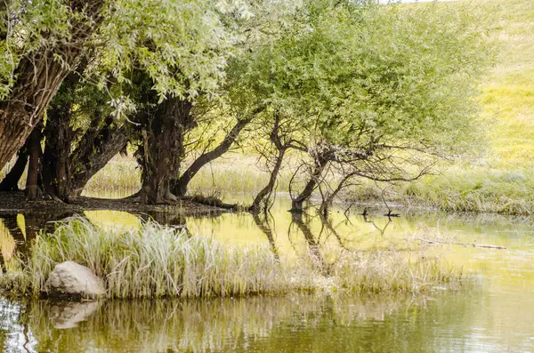 Yapay gölün panoramik görüntüsü. Yılın yaz döneminde inşa edilmiş yapay gölün panoramik görüntüsü..