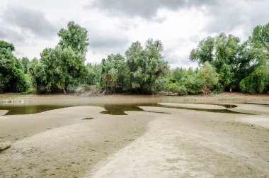 The sandy bank of the Danube River near the city of Novi Sad. Panorama banks of the river Danube near the Petrovaradin. One of the city's beaches - Oficirac in Novi Sad.