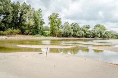 The sandy bank of the Danube River near the city of Novi Sad. Panorama banks of the river Danube near the Petrovaradin. One of the city's beaches - Oficirac in Novi Sad.