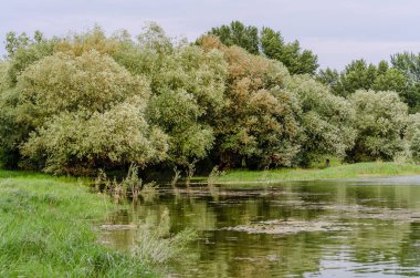 Panoramic view of the National Park - Sodros. Panoramic view of the National Park - Sodros in summer.