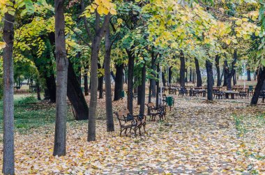 Timisoara, Romania - October 29, 2016: City park in Romania.