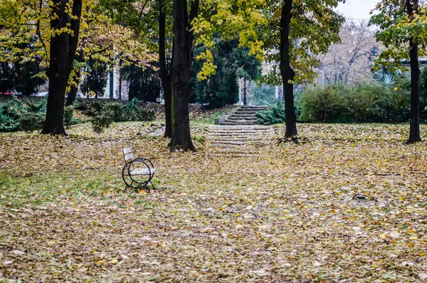 Timisoara, Romania - October 29, 2016: City park in Romania.