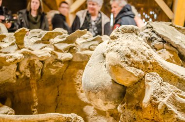 Golubac, Sırbistan - 22 Nisan 2017: sergi-mamut kemiği