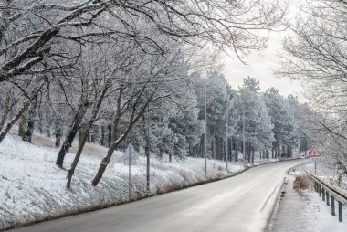 Petrovaradin kalesi karla kaplı. Petrovaradin Kalesi 'ne giden karla kaplı yolun manzarası..