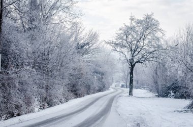 Petrovaradin kalesi karla kaplı. Petrovaradin Kalesi 'ne giden karla kaplı yolun manzarası..