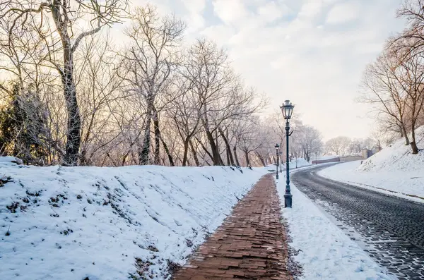 Petrovaradin kalesi karla kaplı. Petrovaradin Kalesi 'ne giden karla kaplı yolun manzarası..
