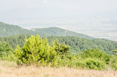 Yunanistan 'ın Stavros kentindeki gözcü noktasından Olimpos Dağı' nın panoramik manzarası.