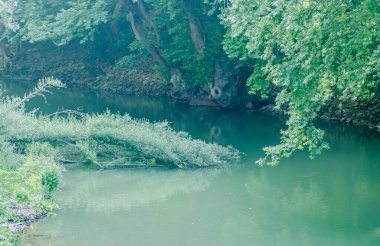 View of the Pinios River in the valley of Tembi, Greece.