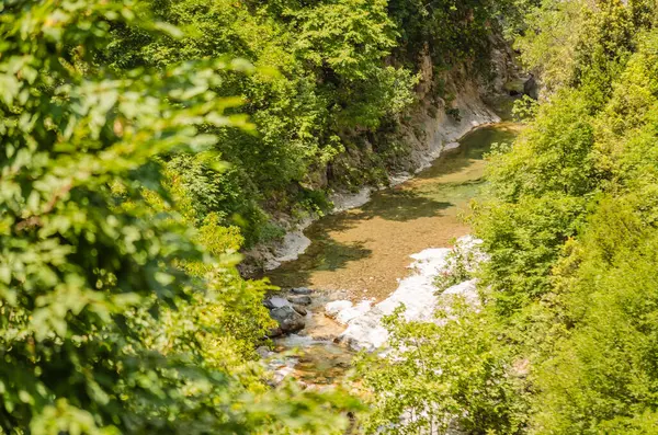 Yunanistan 'ın Litochoro kasabası yakınlarındaki Olimpos Dağı' nda 