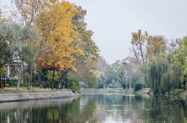 Timisoara, Romanya - 29 Ekim 2016: Romanya 'daki şehir parkı.