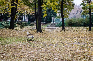 Timisoara, Romanya - 29 Ekim 2016: Romanya 'daki şehir parkı.