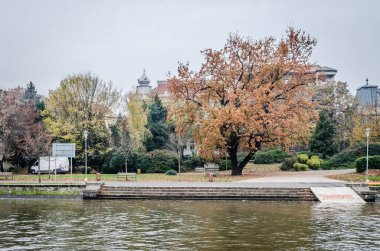 Timisoara, Romania - October 29, 2016: City park in Romania.