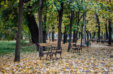 Timisoara, Romanya - 29 Ekim 2016: Romanya 'daki şehir parkı.