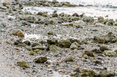 Yunanistan 'ın Pefkochori kentindeki küçük turist kasabasında öğleden sonra plajda taşlar.