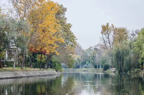 Timisoara, Romanya - 29 Ekim 2016: Romanya 'daki şehir parkı.