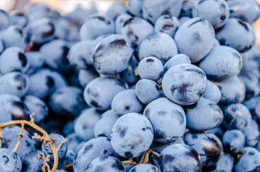 Pile of fresh blue grapes sold on the market in autumn time