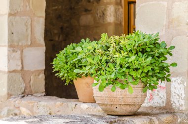 Yunanistan 'daki Meteor Dağı' nın kayalıklarında bulunan Büyük Meteor Ortodoks Manastırı manzarası, Haziran 2018.