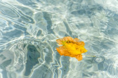 Pecs, Hungary - October 06, 2018: The fountain in the city park Pecs, Hungary