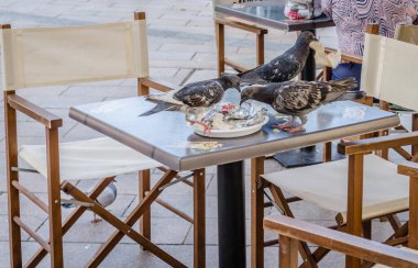 Pecs, Hungary - October 06, 2018: Pigeons on the table restaurants in Pecs