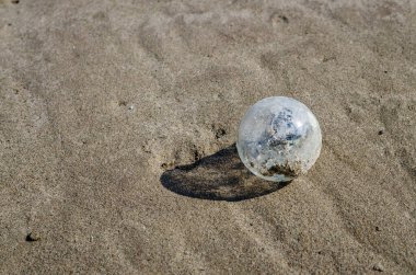 Tuna nehrinin kıyısına kum sürülmüş, atılmış bir cam ampul..
