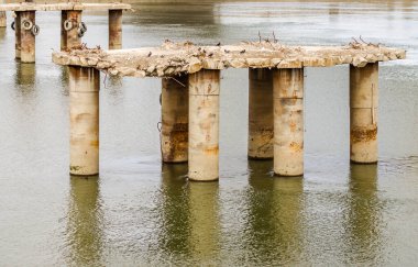 Eski köprünün sütunları Tuna 'nın sularına bakıyor..