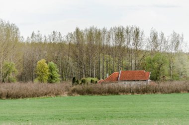 Köydeki ormanın yanındaki yalnız ev..