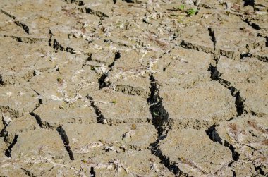 Dry parched land. A view of dry parched land in a parched riverbed.