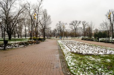 Kışın Novi Sad Parkı. Novi Sad şehir parkının kışın manzarası.