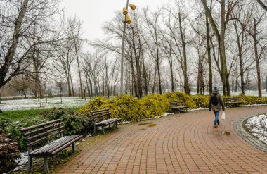 Kışın Novi Sad Parkı. Novi Sad şehir parkının kışın manzarası.