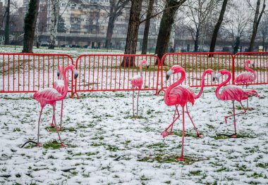 Traditional lanterns on display at the Chinese Light Festival in Novi Sad.