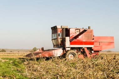 Buğday tarlasını hasat etmek için biçme makinesi.