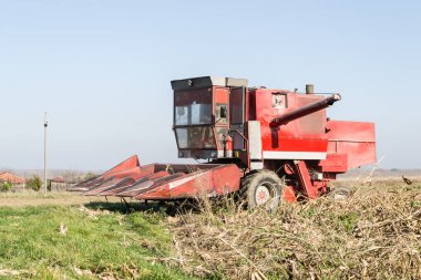 Buğday tarlasını hasat etmek için biçme makinesi.