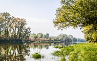 Ulusal Park 'ın panoramik manzarası Sodros. Ulusal Park 'ın panoramik manzarası - Sonbaharda Sodros.