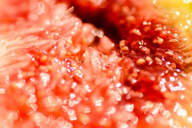 A macro shot inside a fig shows the juicy fruit pulp with seeds.