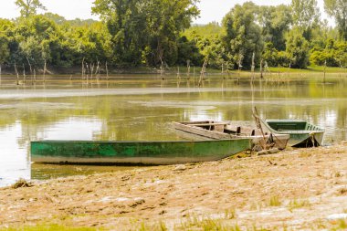 A view of the backwater of the Danube river illuminated by the sun. Wooden boats for sport fishing moored on the water bank of the Danube branch in the summer period, lit by the sun.