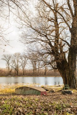 Sırbistan 'ın Novi Sad kenti yakınlarındaki sulardaki dalların yansımasıyla, Tuna kolunun kışın panoraması