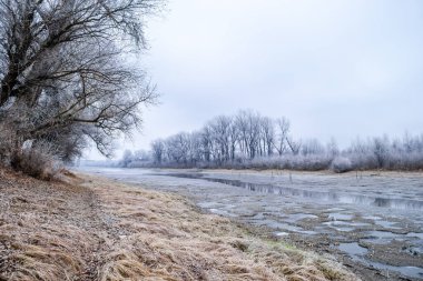 Novi Sad yakınlarındaki Tuna Nehri 'nin donmuş kollarının panoraması.