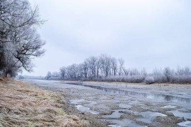 Novi Sad yakınlarındaki Tuna Nehri 'nin donmuş kollarının panoraması.