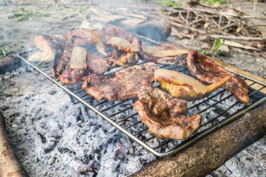 Meat on outdoor coal barbecue grill, close-up