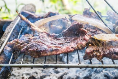 Meat on outdoor coal barbecue grill, close-up